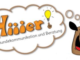 Hiiier! Hundekommunikation und Beratung