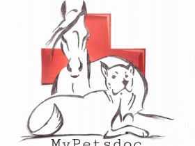 MyPetsdoc Naturheilkunde für Tiere