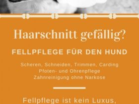 Alternative Tierheilpraxis Christine Cornell