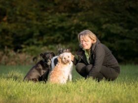 Mobile Tierheilpraxis-Brunkhorst