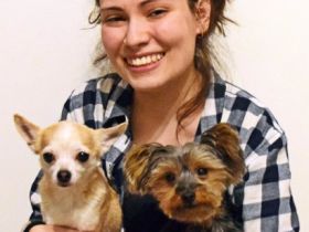 Tierheilpraxis & Physiotherapie Jaimie Lee Rüttgen