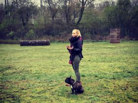 Let's Dog it! - Frankfurt mobile Hundeschule