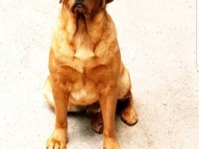 Vom Reichartshäuser Hof