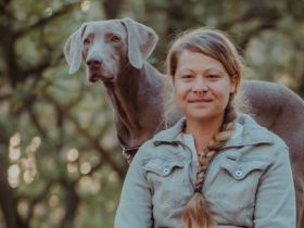 Tierheilpraxis Runge