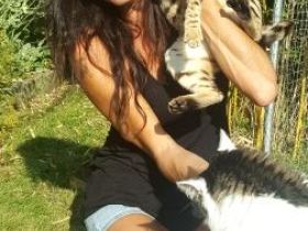 Freunde für`s Leben: Tierverhaltenstherapie und Beratung für Katzen