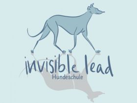 Hundeschule invisible lead