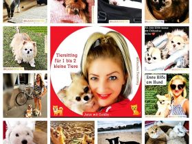 Private Katzen- & Hundebetreuung Huta Hundepension