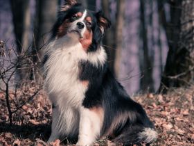 Everlasting Love of Stork Highlands