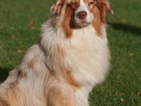 Best Next Secret of Stork Highlands