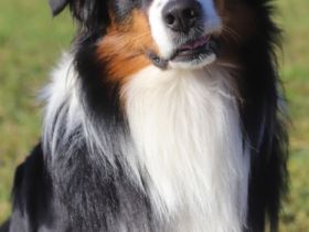 Charming Ghost Black Jack