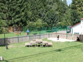 Hundezentrum Schwaben