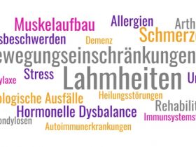 Tiertherapie Starke & Seidel