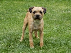 Xilo from the sunny Highlands