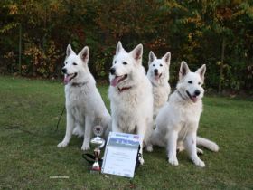 vom Kristallschlössle