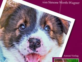 Buch Erziehung im Alltag für Welpe, Hund: Wege zum Familienhund