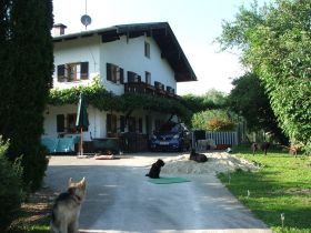 Hundebetreuung Altenburg