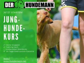 Der Hundemann