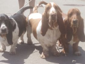 Vom Landgut Lichtenau