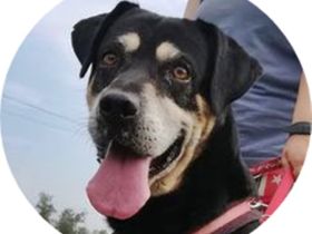 ZOZI - 55 cm - möchte auch endlich gesehen werden!