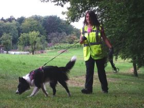 Hundeschule Bindungssache