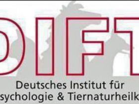 Ausbildung zum Hundephysiotherapeuten auch über Bildungsgutschein