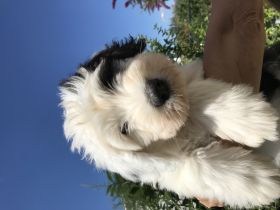 von der Jacquelinenburg