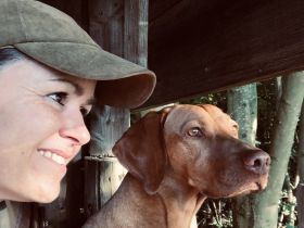 Meine Welt der Jagdhunde