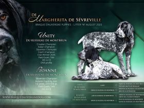 di Margherita de Sevreville