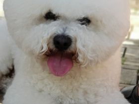 Eranis Evan ( Rufname Charlie)