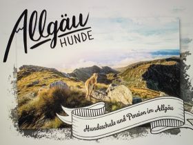 Allgäuhunde