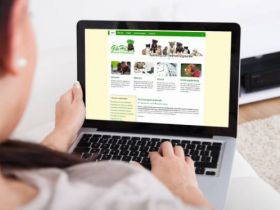 Kostenloser Infoabend zur Ausbildung Hunde- und Katzenernährungsberater*in