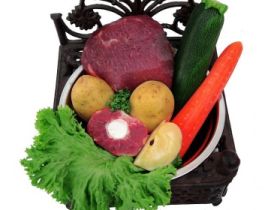 Ausbildung Hunde- und Katzenernährungsberater*in