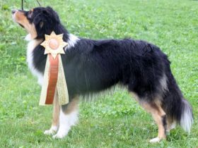 Trulyawesome Peek A Boo