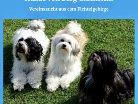 von Burg Glückstein