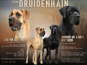 vom Druidenhain