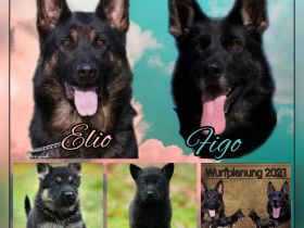 Von der Aabrücke 'INT'