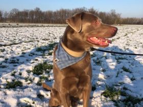 Jamper vom Rittergut Priort