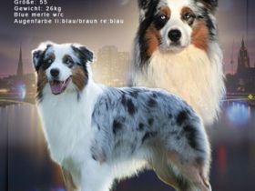 Dreamwalk`s blue magic