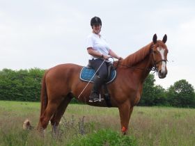 Ines Redlich mobile Tierheilpraktikerin