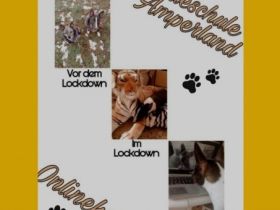 Hundeschule Amperland