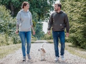 Die Hundemarke - Hundeschule im Herzogtum