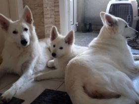 Vom Rammenauer Schloßblick