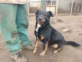 Peggy sucht eine ruhige ausgeglichene Familie
