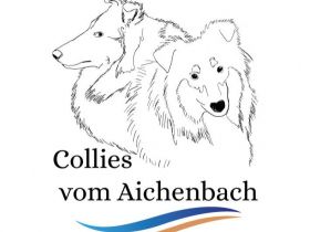 Collies vom Aichenbach