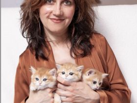 "Golden Pearls of Norderstedt "