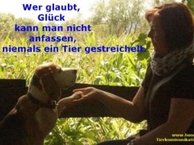 Tierkommunikation Hunde-Freude