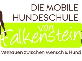 Mobile Hundeschule Kirsten von Falkenstein