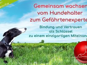 vom Hundehalter zum Gefährtenexperten 13.05.25