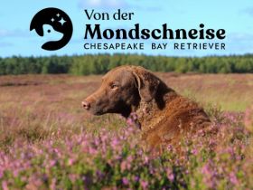 von der Mondschneise