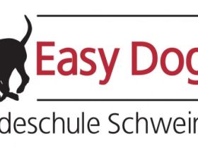 Easy Dogs Schweinfurt